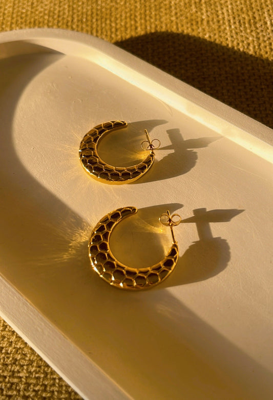 Gold Covering Hoop Earrings