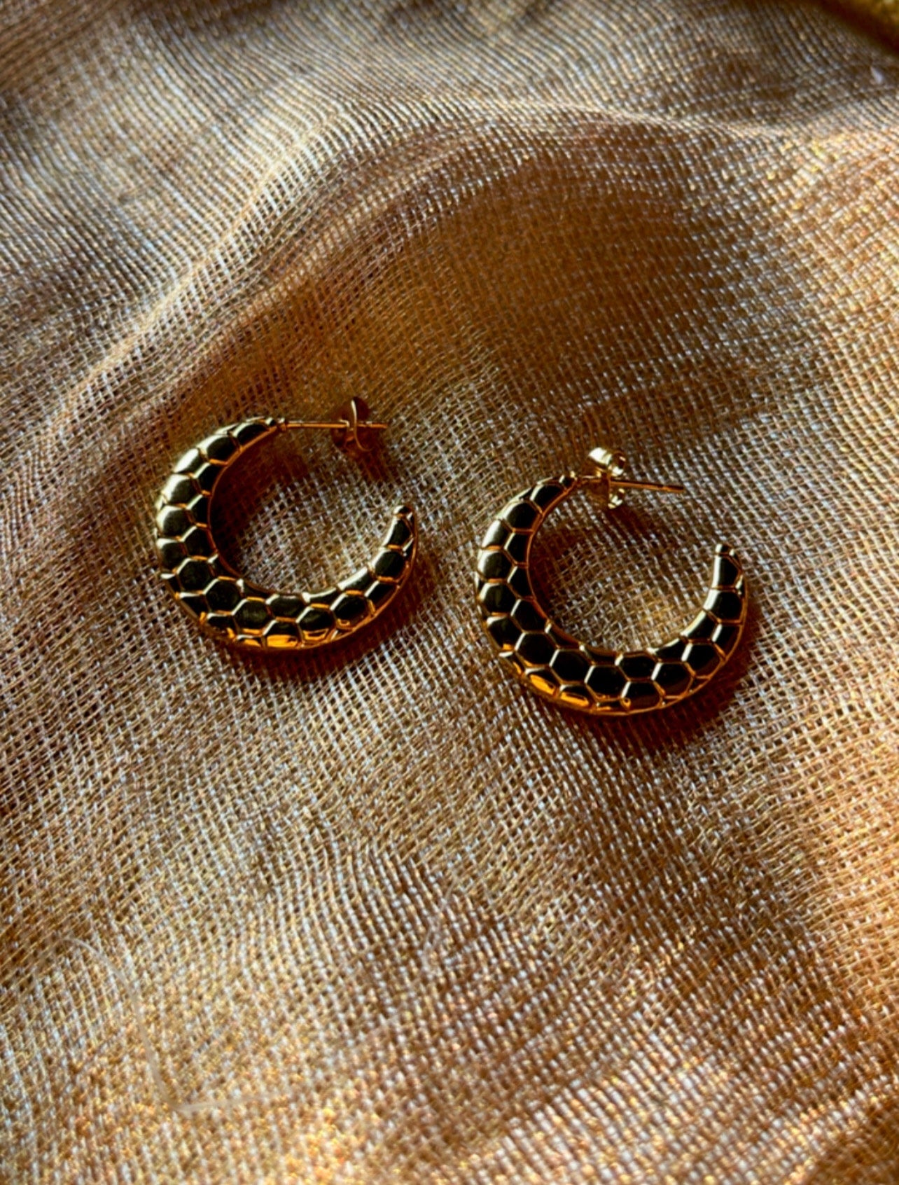 Gold Covering Hoop Earrings