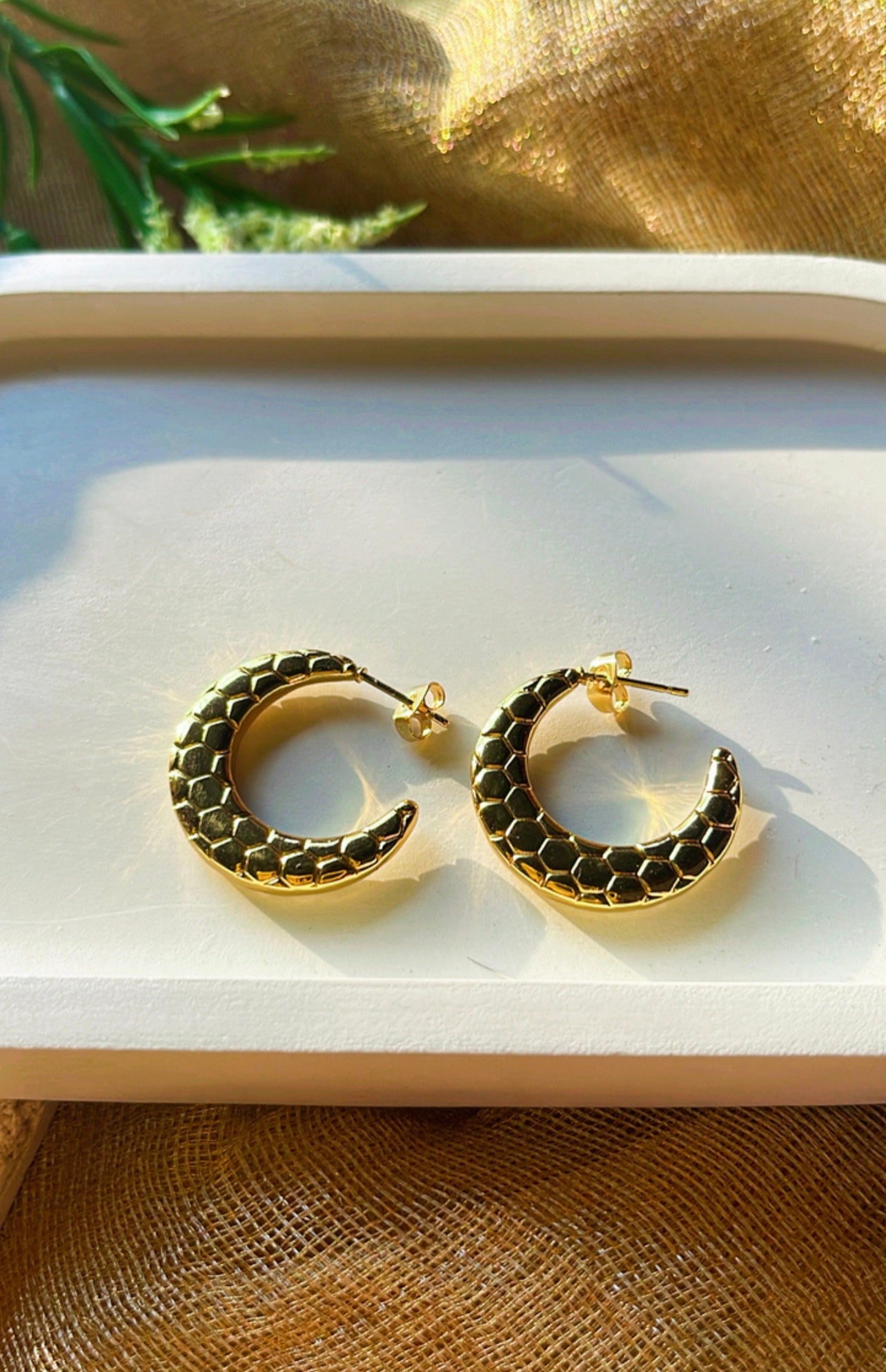 Gold Covering Hoop Earrings