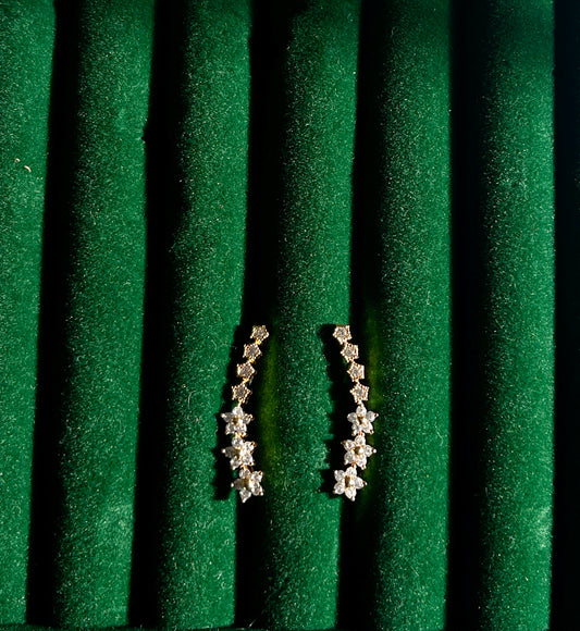 CLIP ON EARCUFFS/ EARRINGS